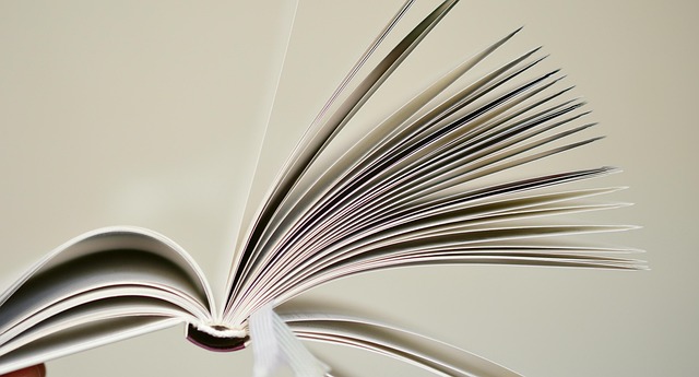 YouTube 広告 アニメ