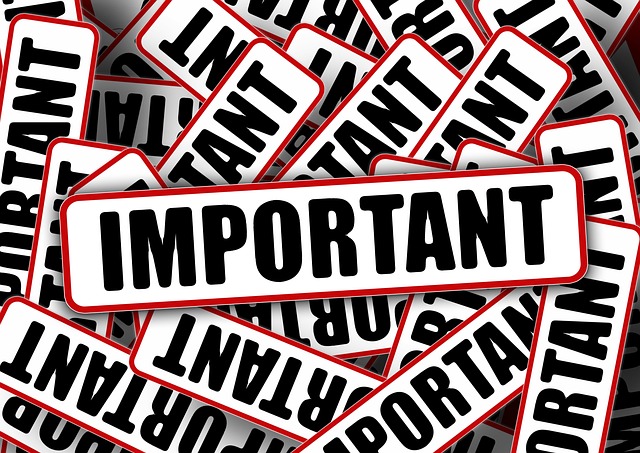 面白い動画を作る仕事