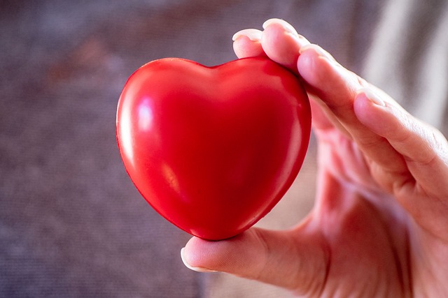 キャラクター コンテンツ 会社