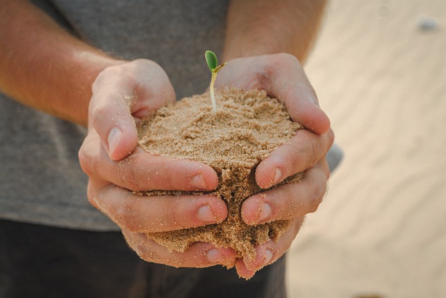 キャラクター コンテンツ 会社