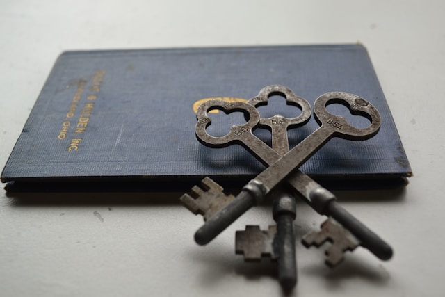 採用動画 アニメ 実写