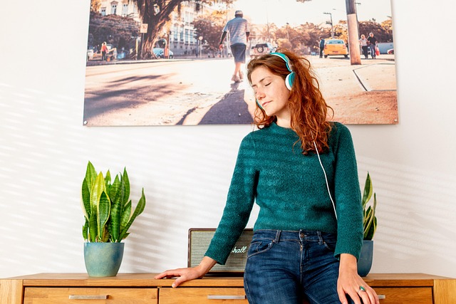 不動産 アニメ広告